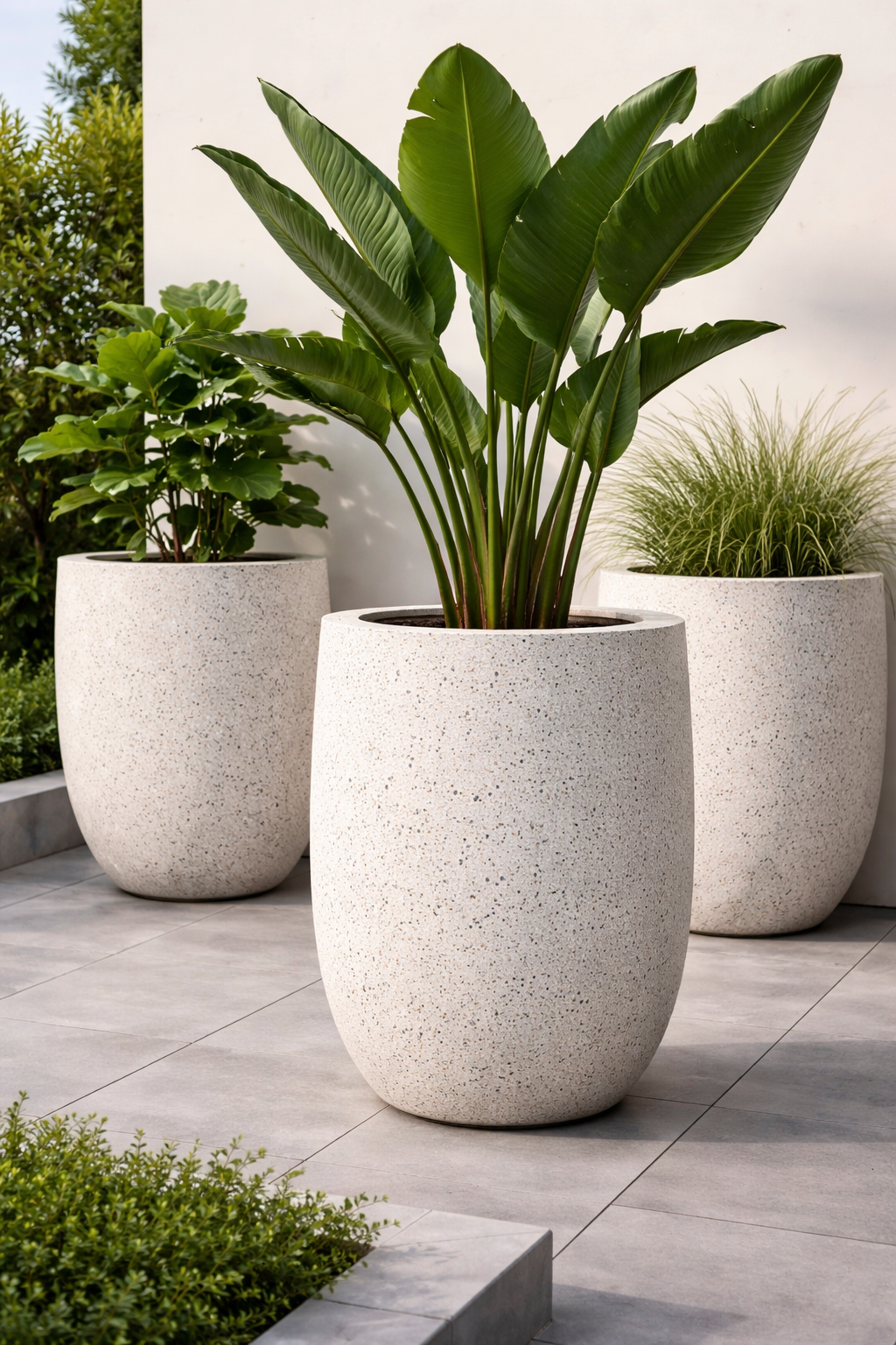 image kategori pot teraso