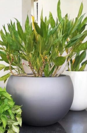 image pot fiber resin